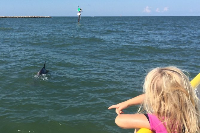 Clearwater Encounters with Dolphins Tour - Arrival, parking, and timing
