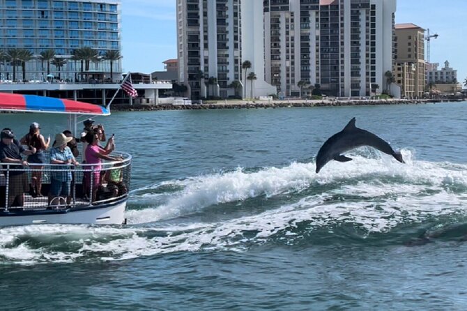 Clearwater Encounters with Dolphins Tour - Who will enjoy this outing most