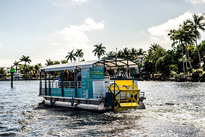 Clearwater Island Hop and Dolphin Watch with Swimming - Meeting point, tickets, and timing