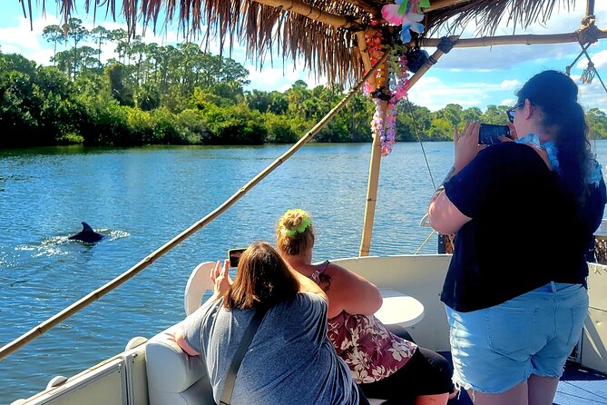 Cocoa Beach 2 Hour Dolphin Sightseeing tour- public - Key details before you book