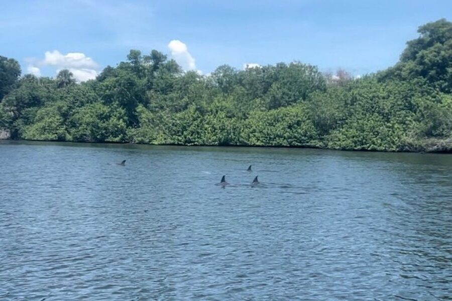 Cocoa Beach: Dolphin and Manatee Kayak or Paddle Tour - What the two-hour route feels like