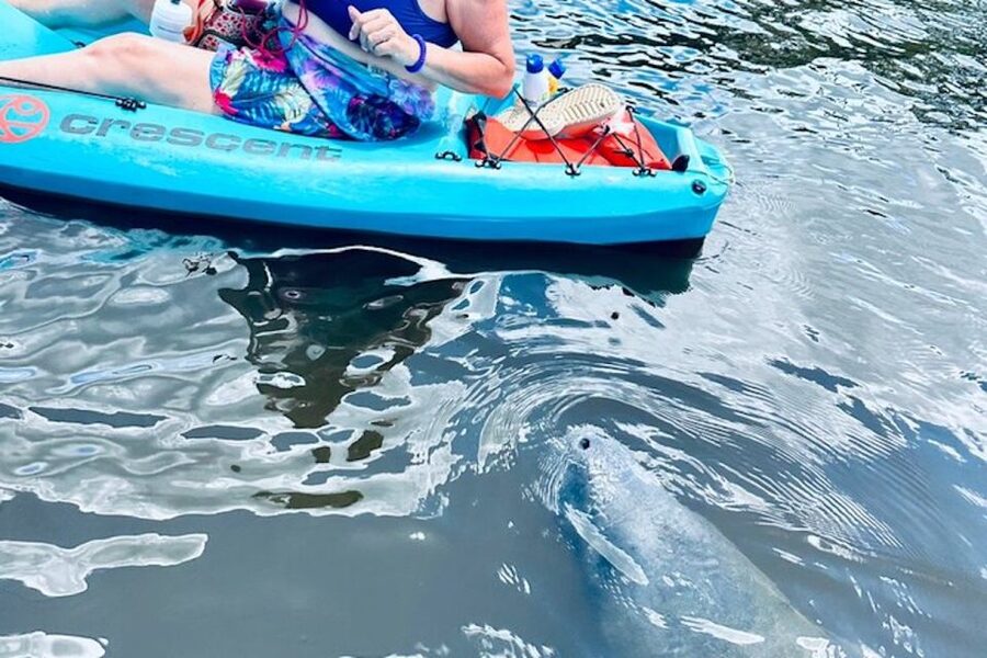 Cocoa Beach: Dolphin and Manatee Kayak or Paddle Tour - Is $65 a fair price?