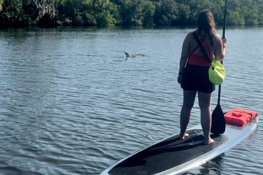 Cocoa Beach: Dolphin and Manatee Kayak or Paddle Tour - The launch at 4800 Tom Warriner Boulevard