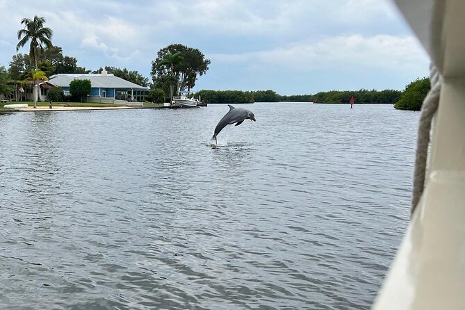 Cocoa Beach Dolphin and Wildlife Tour - Comfort, Access, and Family Fit