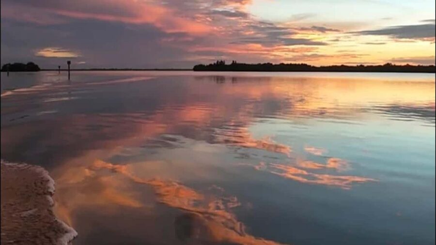 Cocoa Beach: Dolphin & Manatee Pontoon Cruise - A private way to see Cocoa Beach’s wild side