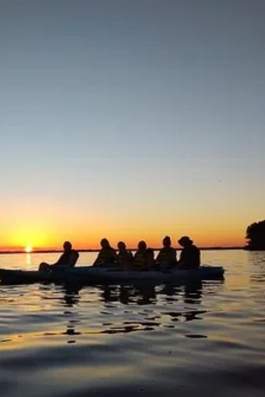 Cocoa Beach/Merritt Island: Guided Dolphin and Manatee Tour - Why the Indian River Lagoon is worth your morning