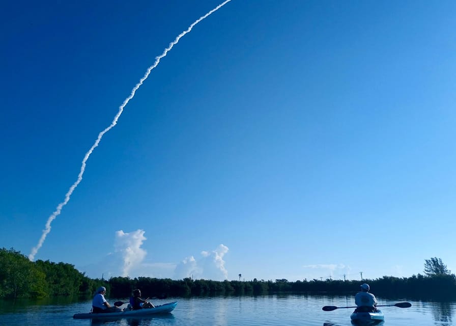 Cocoa Beach/Merritt Island: Guided Dolphin and Manatee Tour - The best time to reserve