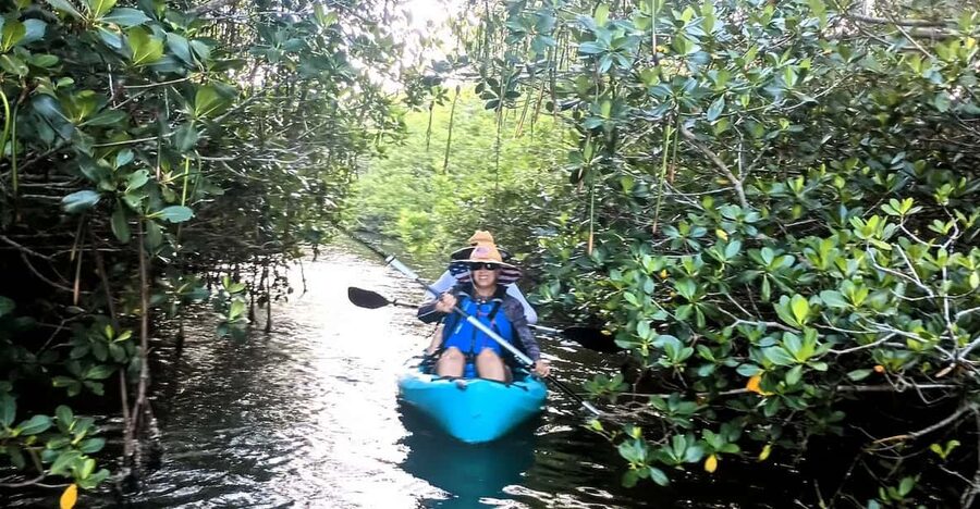 Cocoa Beach/Merritt Island: Guided Dolphin and Manatee Tour - Launching from Kiwanis Island Park