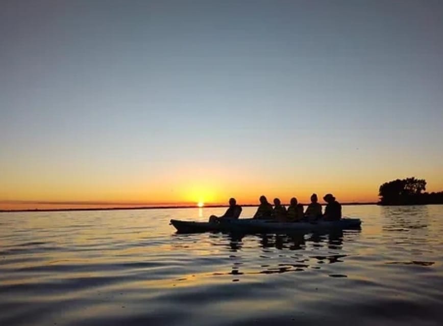Cocoa Beach/Merritt Island: Guided Dolphin and Manatee Tour - Looking for manatees in the seagrass