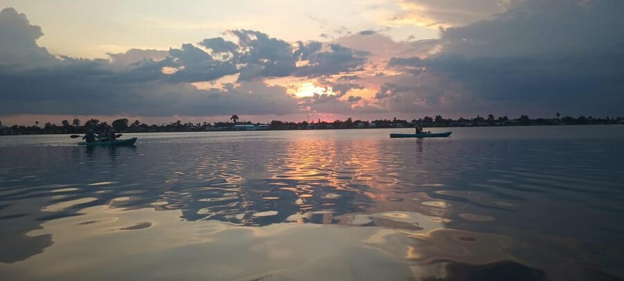 Cocoa Beach/Merritt Island: Guided Dolphin and Manatee Tour - What the guide adds to the trip