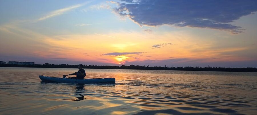 Cocoa Beach/Merritt Island: Guided Dolphin and Manatee Tour - Is $47 a fair price?