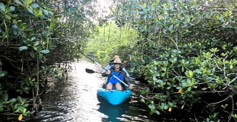 Cocoa Beach/Merritt Island: Guided Dolphin and Manatee Tour - What the two-hour paddle feels like