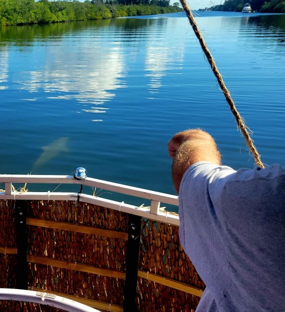 Cocoa Beach: Private 2-Hour Dolphin Sightseeing Tour - Dolphins, manatees, birds, and the occasional alligator