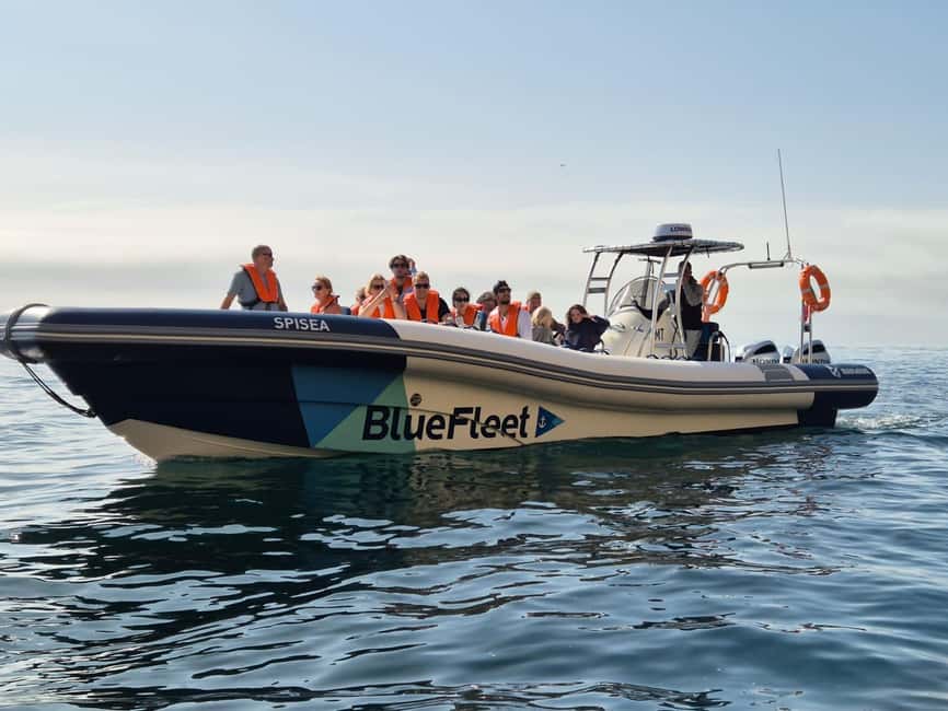 Combo: Benagil & Dolphins Boat Tour w/ Marine Biologists - Should you book it?