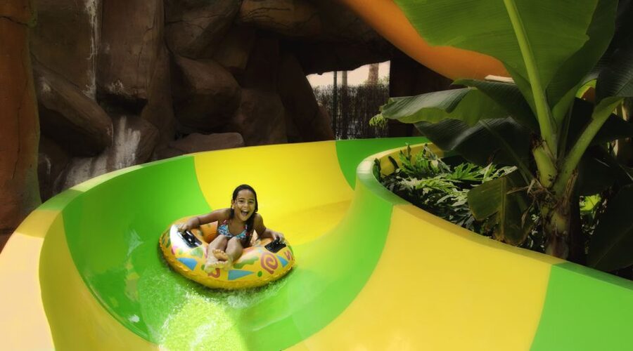Costa Adeje: Aqualand Water Park Ticket with Dolphin Show - Food, lockers, and sunbeds can change the value