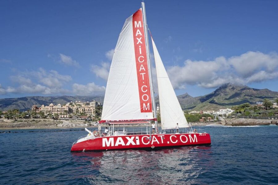 Costa Adeje: Whale and Dolphin Cruise with Food and Pickup - Why pilot whales make this Costa Adeje cruise special