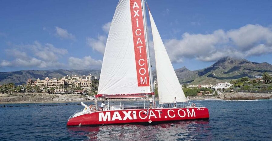 Costa Adeje: Whale and Dolphin Cruise with Food and Pickup - Searching the coast for whales and dolphins