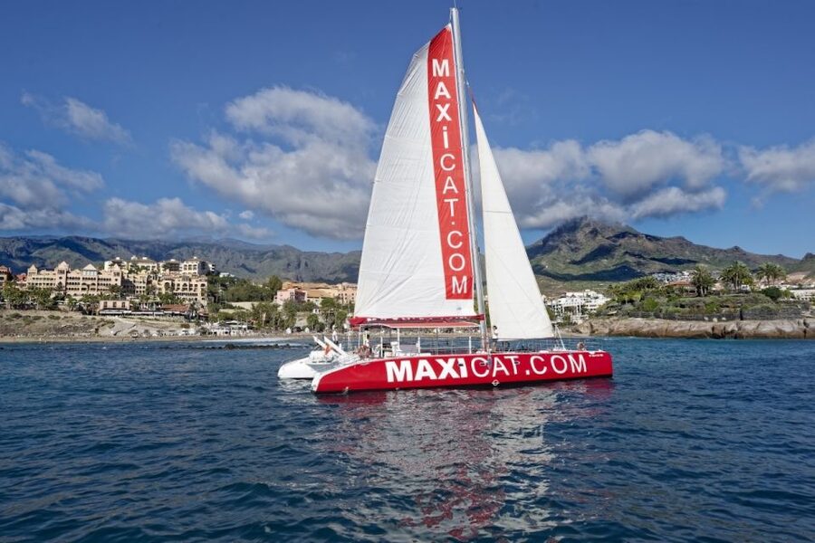 Costa Adeje: Whale and Dolphin Cruise with Food and Pickup - A paella lunch with beer, sangria, and soft drinks