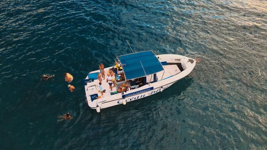 Costa Adeje: Whale and Dolphin-Watching Boat Excursion - Cost and overall value