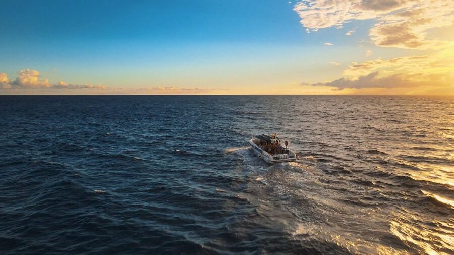 Costa Adeje: Whale and Dolphin-Watching Boat Excursion - The crew: guidance without a lecture