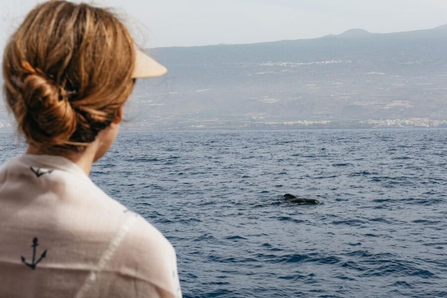 Costa Adeje: Whale & Dolphin Eco-Cruise with Snacks & Drinks - Key points to know before you book