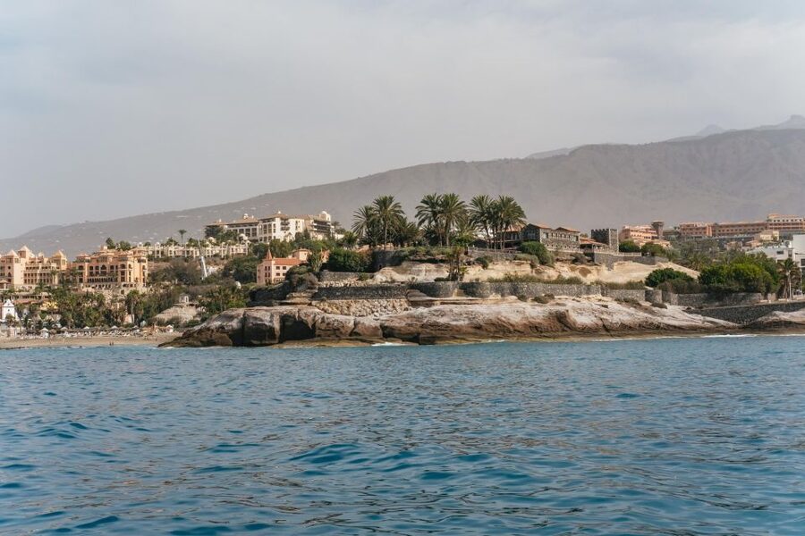 Costa Adeje: Whale & Dolphin Eco-Cruise with Snacks & Drinks - Who should book this Costa Adeje cruise?