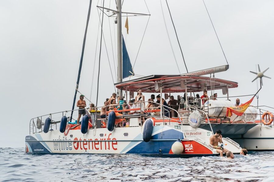 Costa Adeje: Whale & Dolphin Eco-Cruise with Snacks & Drinks - What the wildlife search is really like