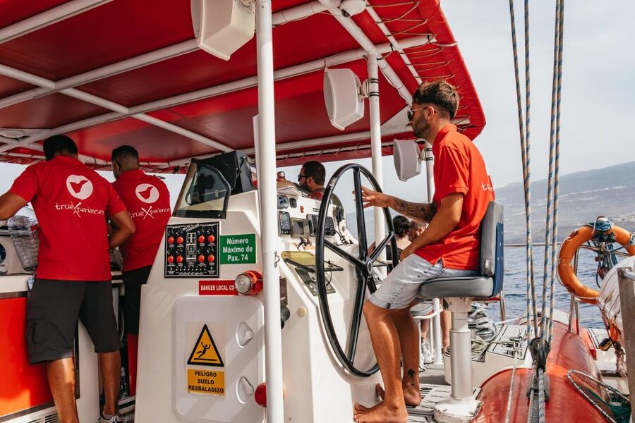 Costa Adeje: Whale & Dolphin Eco-Cruise with Snacks & Drinks - Swimming in the Atlantic