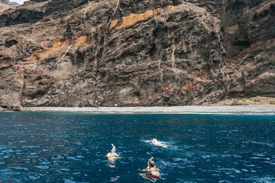 Costa Adeje: Whale & Dolphin Eco-Cruise with Snacks & Drinks - Watching whales in the Teno-Rasca Whale Sanctuary