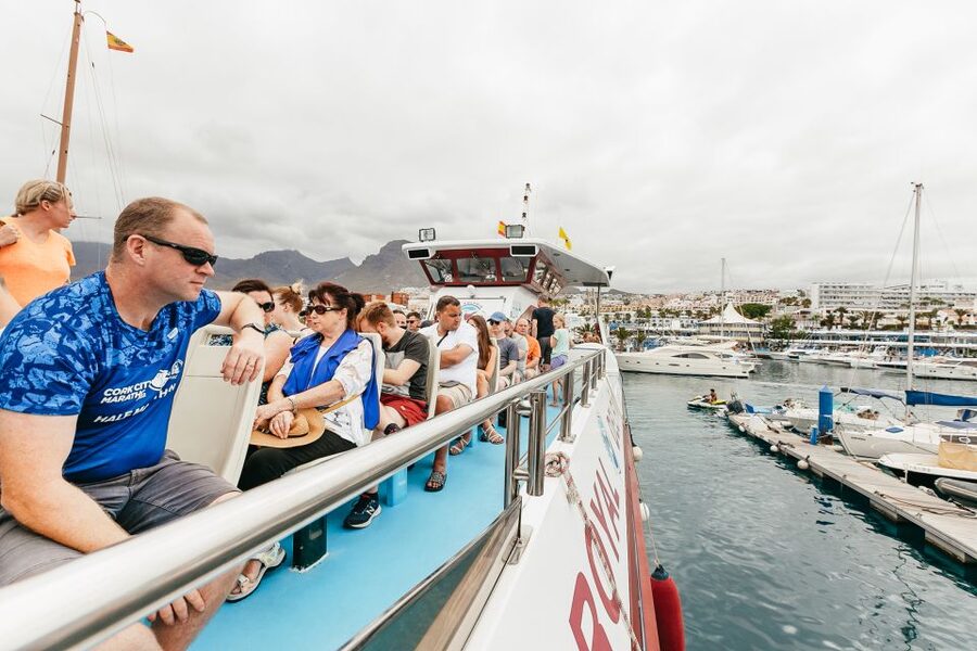 Costa Adeje: Whale & Dolphin Submarine Vision Mini Cruise - Who should book this catamaran?