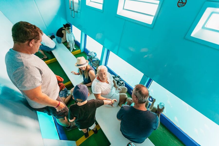 Costa Adeje: Whale & Dolphin Submarine Vision Mini Cruise - A respectful approach to marine life