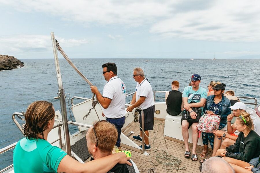 Costa Adeje: Whale & Dolphin Submarine Vision Mini Cruise - The coastal cruise on the way back