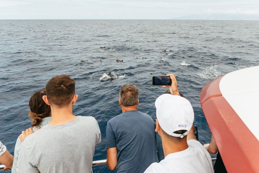 Costa Adeje: Whale & Dolphin Submarine Vision Mini Cruise - Families, children, and accessibility