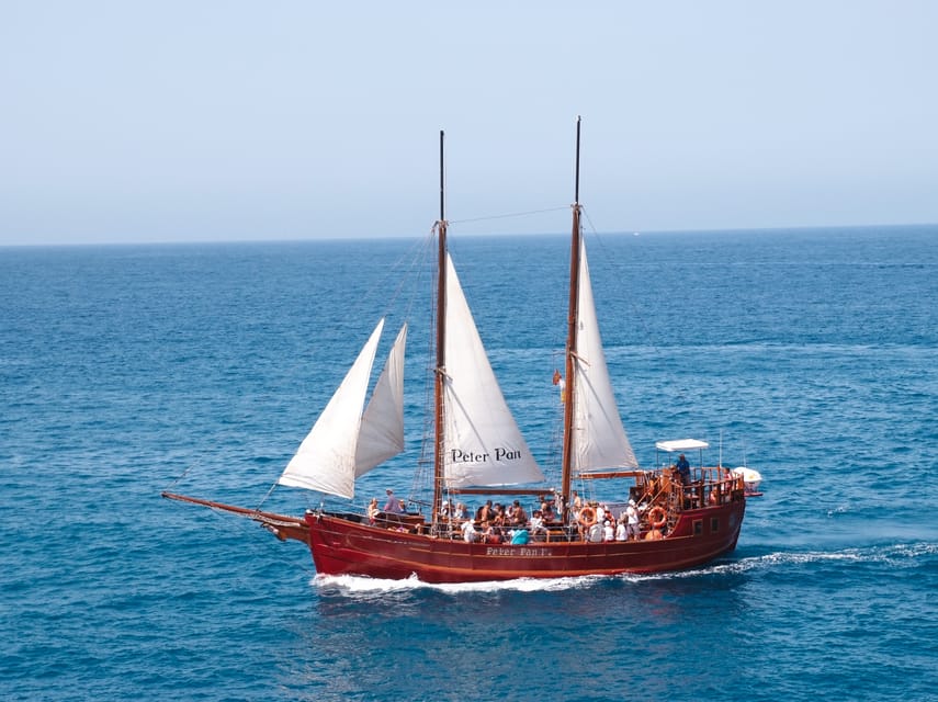 Costa Adeje: Whale & Dolphin Watching Cruise with Swim - Setting out from Puerto Colón on the Shogun