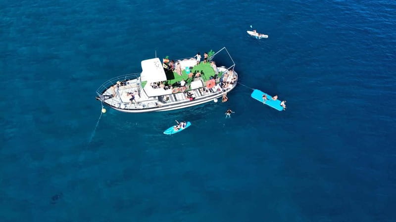 Costa Calma: Fuerteventura Dolphin Watching Boat Tour - How the dolphin search works