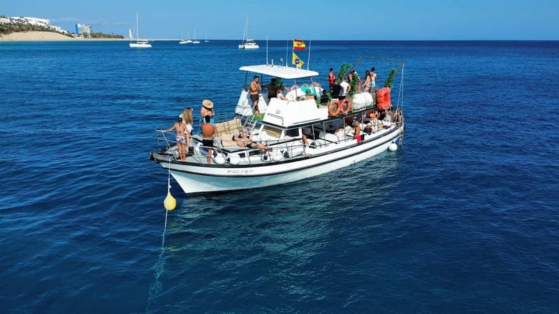 Costa Calma: Fuerteventura Dolphin Watching Boat Tour - The boat ride, speed, and safety