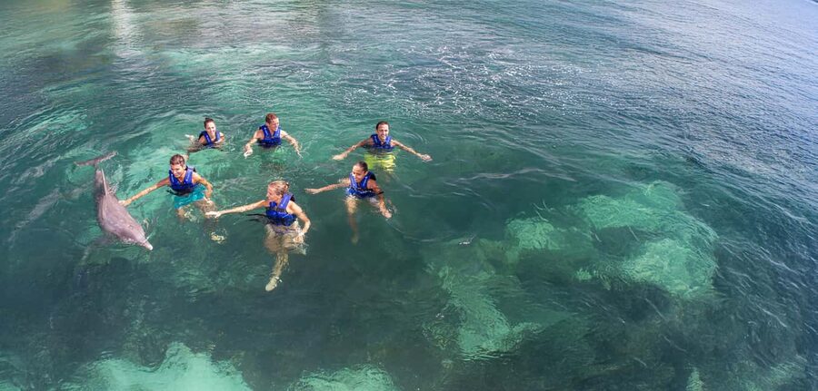 Costa Mujeres: Swim with Dolphins - Meeting the dolphins at Playa Mujeres