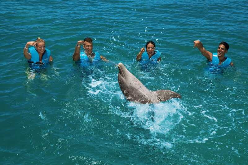 Costa Mujeres: Swim with Dolphins - Why the educational part matters