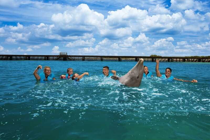 Costa Mujeres: Swim with Dolphins - Group size changes the feel