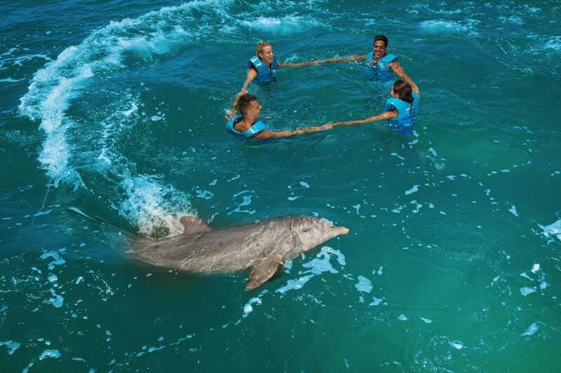 Costa Mujeres: Swim with Dolphins - The extra 50 MXN charge