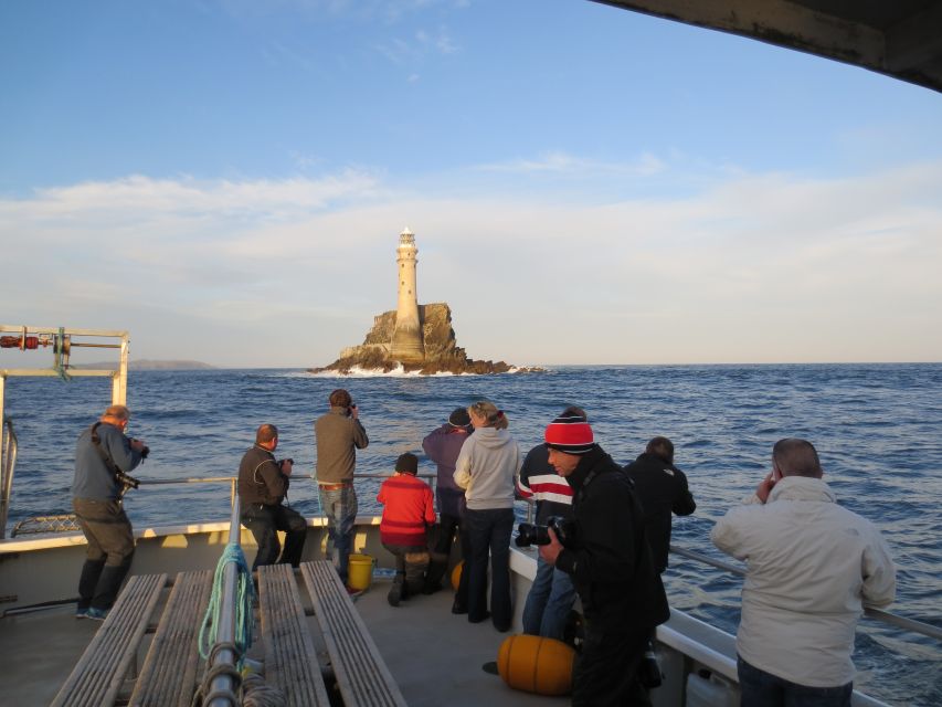 County Cork: Whale & Dolphin Watching Boat Trip - Dolphins, seals, birds, and smaller surprises