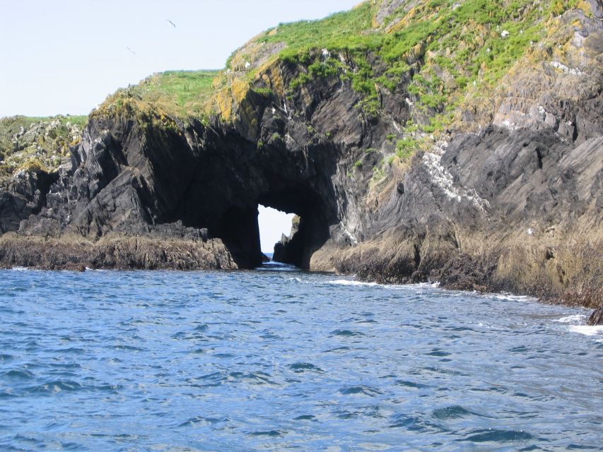 County Cork: Whale & Dolphin Watching Boat Trip - Is $51 a fair price for this boat trip?