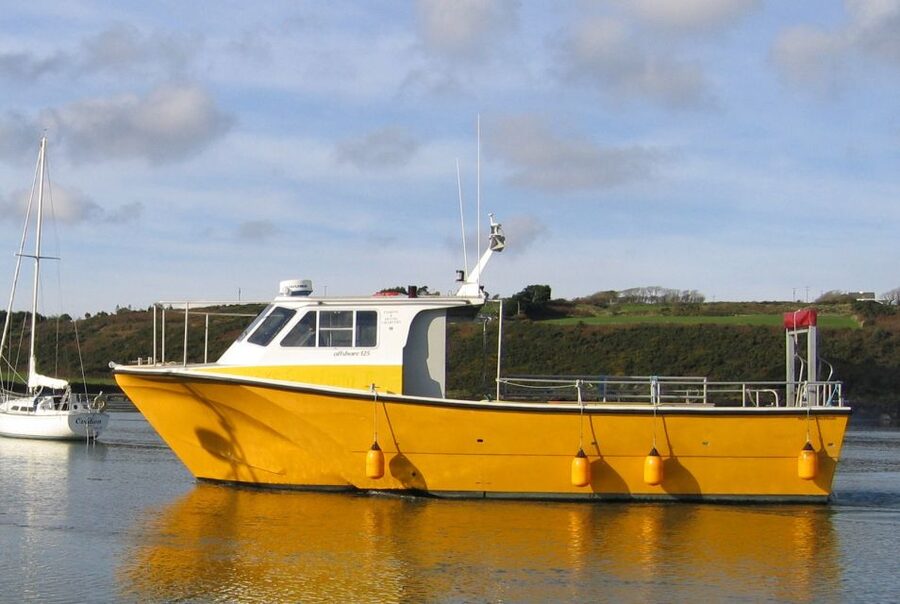 County Cork: Whale & Dolphin Watching Boat Trip - Who should book the Wave Chieftain?