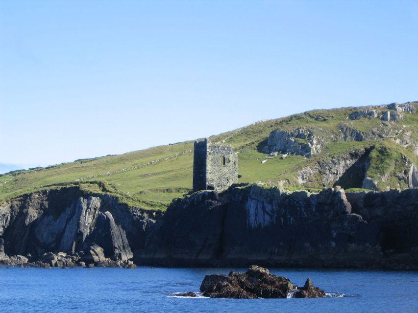 County Cork: Whale & Dolphin Watching Boat Trip - The first stretch: coastal scenery and offshore islands