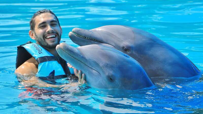 Cozumel: Dolphin Royal Connection and Manatee Interaction - What the 50-minute program is really like