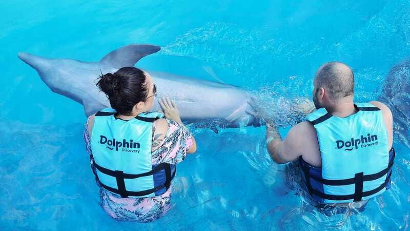 Cozumel: Dolphin Royal Connection and Manatee Interaction - The biggest strengths and the main warning signs