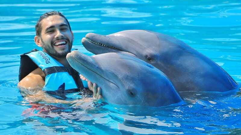 Cozumel: Dolphin Royal Connection and Manatee Interaction - Who will get the most from this experience
