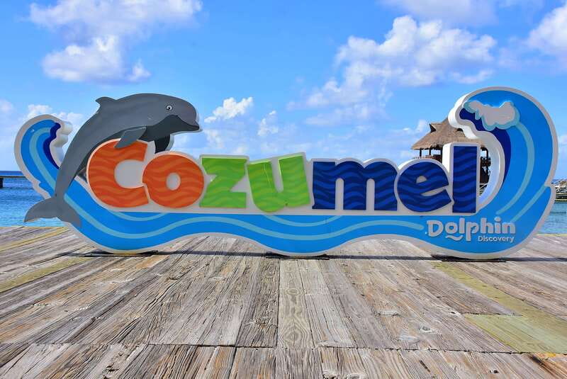 Cozumel: Dolphin Royal Connection and Manatee Interaction - Meeting two dolphins during the Royal Swim