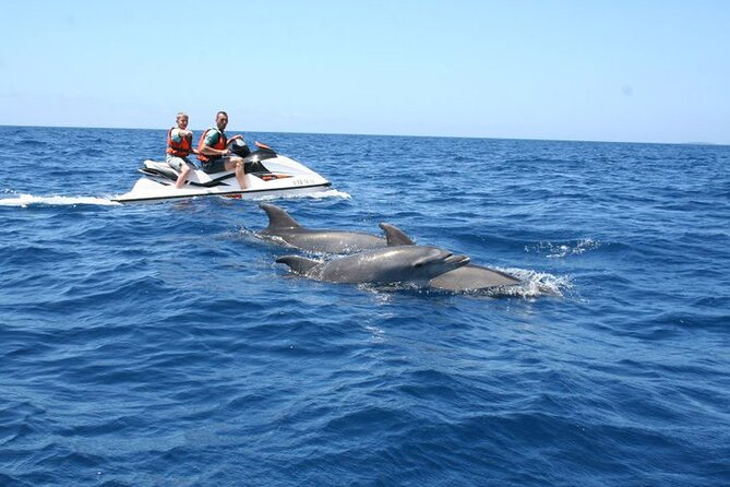 Crab Island Dolphin Jet Ski Adventure - Key points before you book