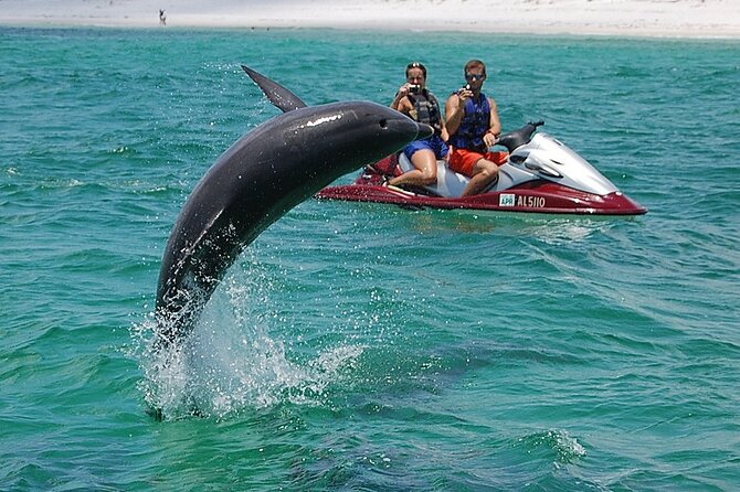 Crab Island Dolphin Jet Ski Adventure - From 322 Miracle Strip Parkway to Crab Island